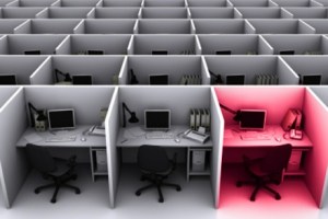 Office Cubicles