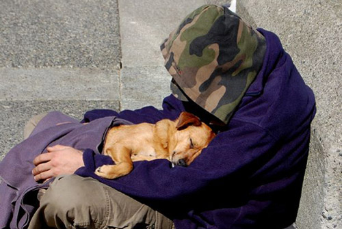 homeless boy and dog